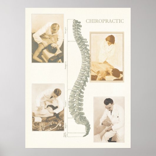 カイロプラクティック脊髄調整ポスター ポスター (正面)