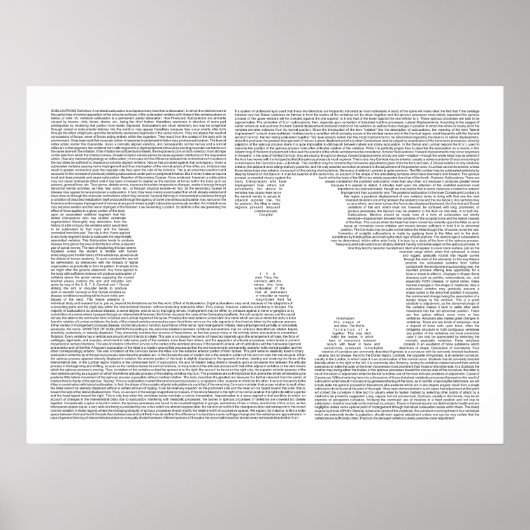 カイロプラクティック腰椎アートプリント ポスター (正面)