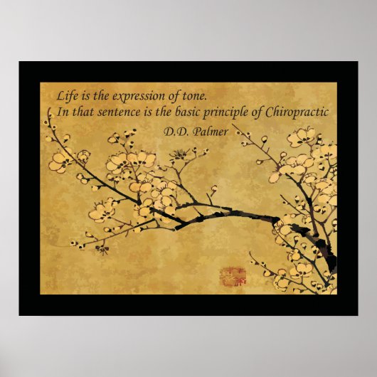 カイロプラクティック衛生引用文の原則 ポスター (正面)