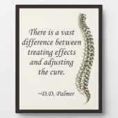 カイロプラクティック調整ザキュアイーゼル フォトプラーク (正面)