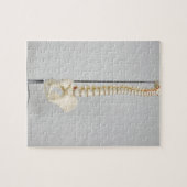 カイロプラクティック骨格 ジグソーパズル (横)