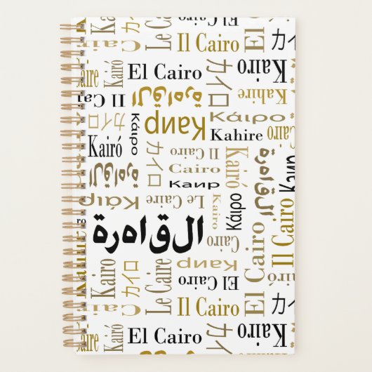 カイロ プランナー手帳 (正面)