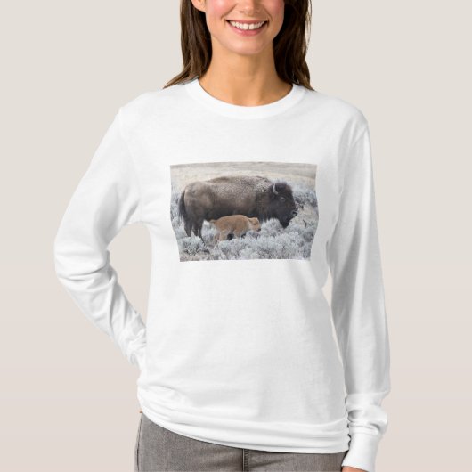カウと子牛アメリカバイソン、イエローストーン Tシャツ (正面)