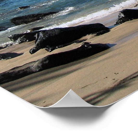 カウアイのポスター ポスター (角)