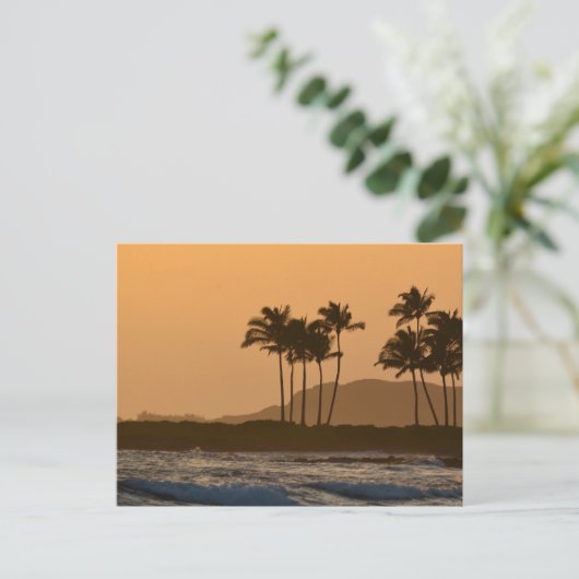 カウアイの夕日 ポストカード (スタンド正面)
