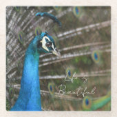 カウアイの孔雀 ガラスコースター (正面)