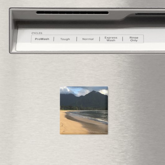 カウアイサーフ株式会社ハナレイビーチ冷凍機磁石 マグネット (インサイチュ (食洗機))