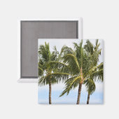 カウアイトロピカルパーム マグネット (正面/裏面)
