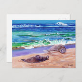 カウアイハワイアンモンクシールズオンポイプビーチハガキ ポストカード (正面/裏面)