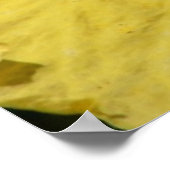 カウアイハワイイエローハイビスカスフラワー ポスター (角)