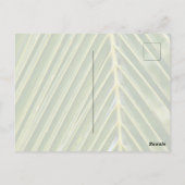 カウアイハワイキラウアライトハウス ポストカード (裏面)