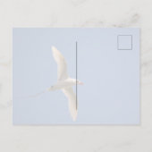 カウアイハワイキラウエアカトトロピバード ポストカード (裏面)