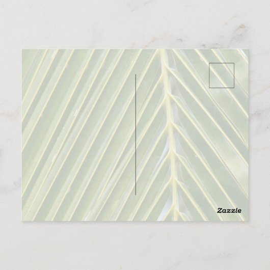 カウアイハワイコロアサンセット ポストカード (裏面)