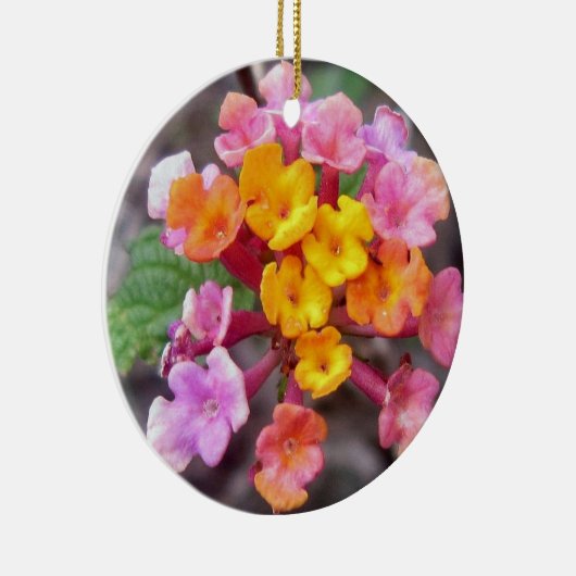 カウアイハワイシーニックセラミックオーナメント セラミックオーナメント (右)