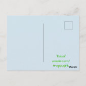 カウアイハワイトロピカルマウンテンレンジ ポストカード (裏面)