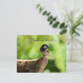 カウアイハワイバードオンチェア考えーズ・オブ・ユー ポストカード (スタンド正面)