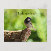 カウアイハワイバードオンチェア考えーズ・オブ・ユー ポストカード (正面)