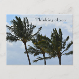 カウアイハワイパームツリーズ ポストカード