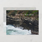 カウアイハワイピーコックフェザー ポストカード (正面/裏面)