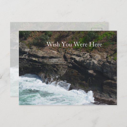 カウアイハワイピーコックフェザー ポストカード (正面/裏面)