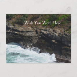 カウアイハワイピーコックフェザー ポストカード