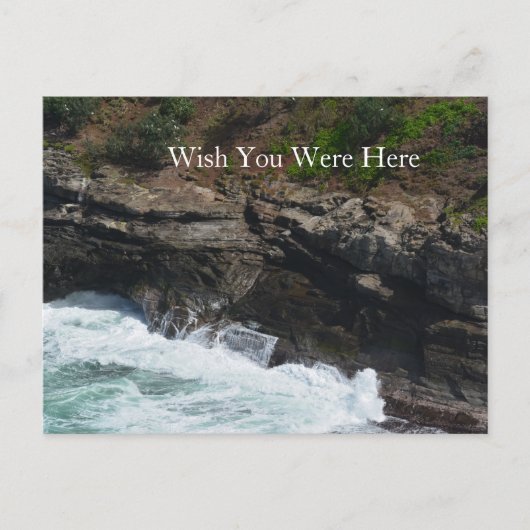 カウアイハワイピーコックフェザー ポストカード (正面)