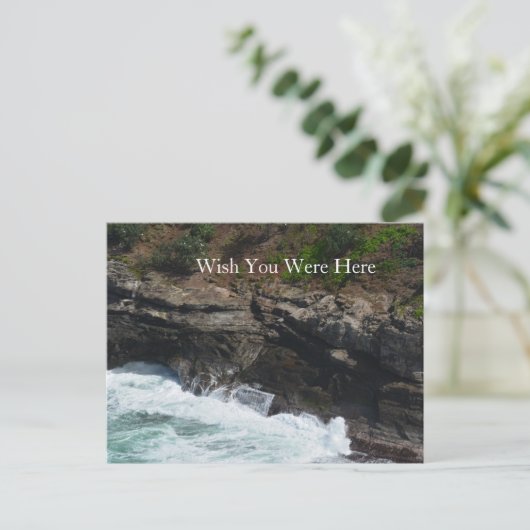 カウアイハワイピーコックフェザー ポストカード (スタンド正面)