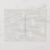 カウアイハワイピーコック ポストカード (裏面)