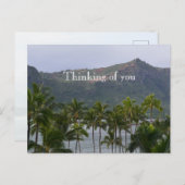 カウアイハワイルフエパームツリーズカラパキビーチ ポストカード (正面/裏面)