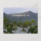 カウアイハワイルフエパームツリーズカラパキビーチ ポストカード (正面)