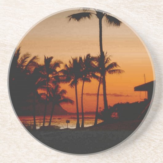 カウアイハワイ コースター (正面)