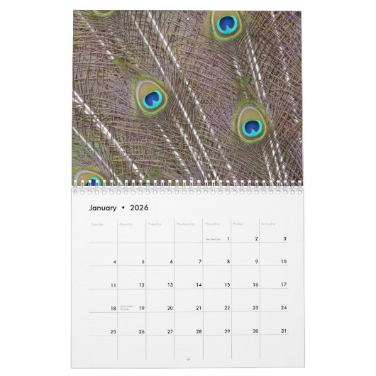 カウアイピーコックフェザー カレンダー (1月 2026)