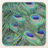 カウアイピーコックフェザー スクエアペーパーコースター (正面)