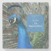 カウアイピーコックフェザー ストーンコースター (正面)