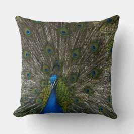 カウアイピーコック クッション