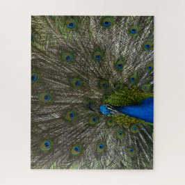 カウアイピーコック ジグソーパズル