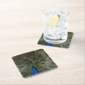 カウアイピーコック ペーパーコースター (インサイチュ)