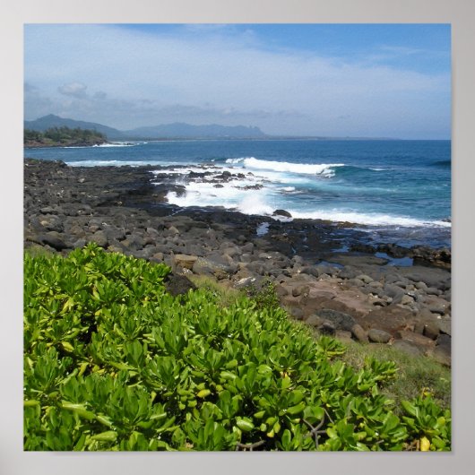 カウアイ多汁2 ポスター (正面)