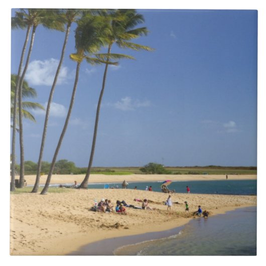 カウアイ島にあるソルトポンドパーク タイル (正面)