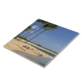 カウアイ島にあるソルトポンドパーク タイル (側面)