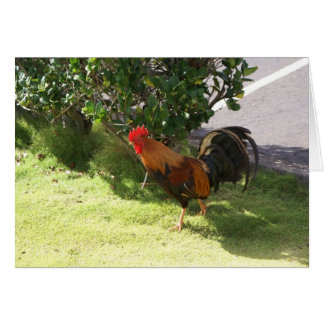 カウアイ島のオンドリカード