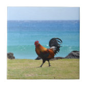 カウアイ島のオンドリ タイル (正面)