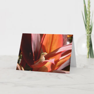 カウアイ島のトカゲ カード