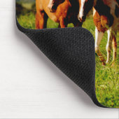 カウアイ島の馬 マウスパッド (コーナー)