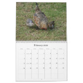 カウアイ島2010のカレンダーのジャングルの鶏 カレンダー (2月 2026)