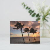 カウアイ島、ハワイの日没 ポストカード (スタンド正面)
