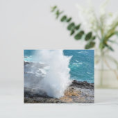 カウアイ島(ハワイ)の噴水の角 ポストカード (スタンド正面)