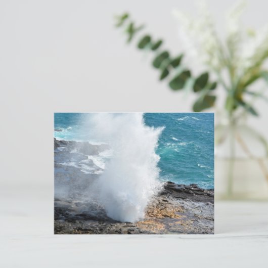 カウアイ島（ハワイ）の噴水の角 ポストカード (スタンド正面)