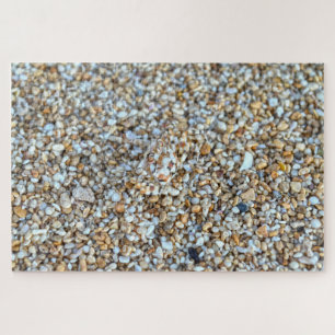 カウアイ幽霊のカモフラージュビーチカニ，ハワイ ジグソーパズル