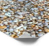 カウアイ幽霊のカモフラージュビーチカニ,ハワイ ポスター (角)